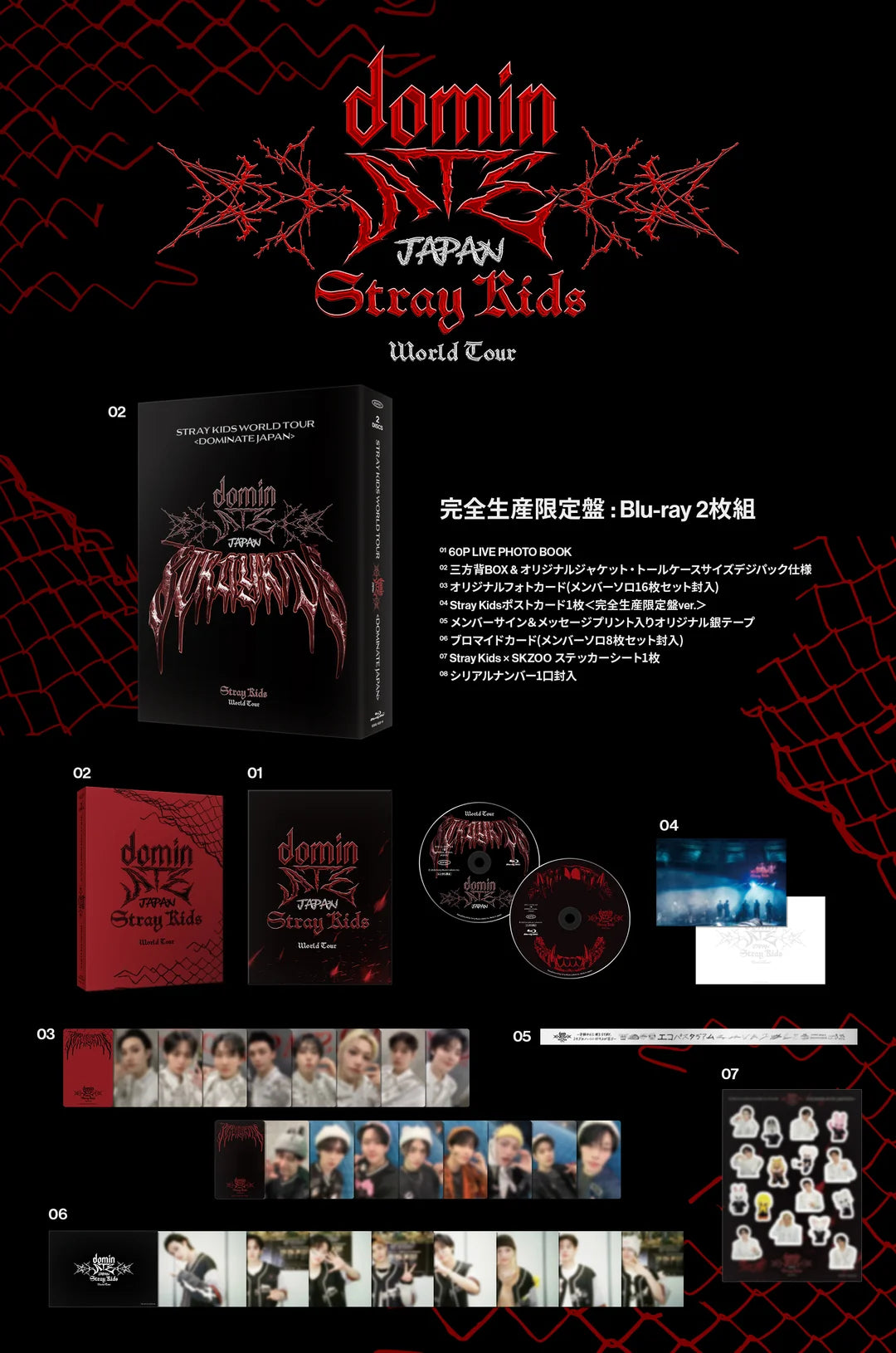 Stray Kids World Tour DominATE JAPAN - Blu-ray (Regular and Stray Kids World Tour DominATE JAPAN - Blu-ray (Regular and
