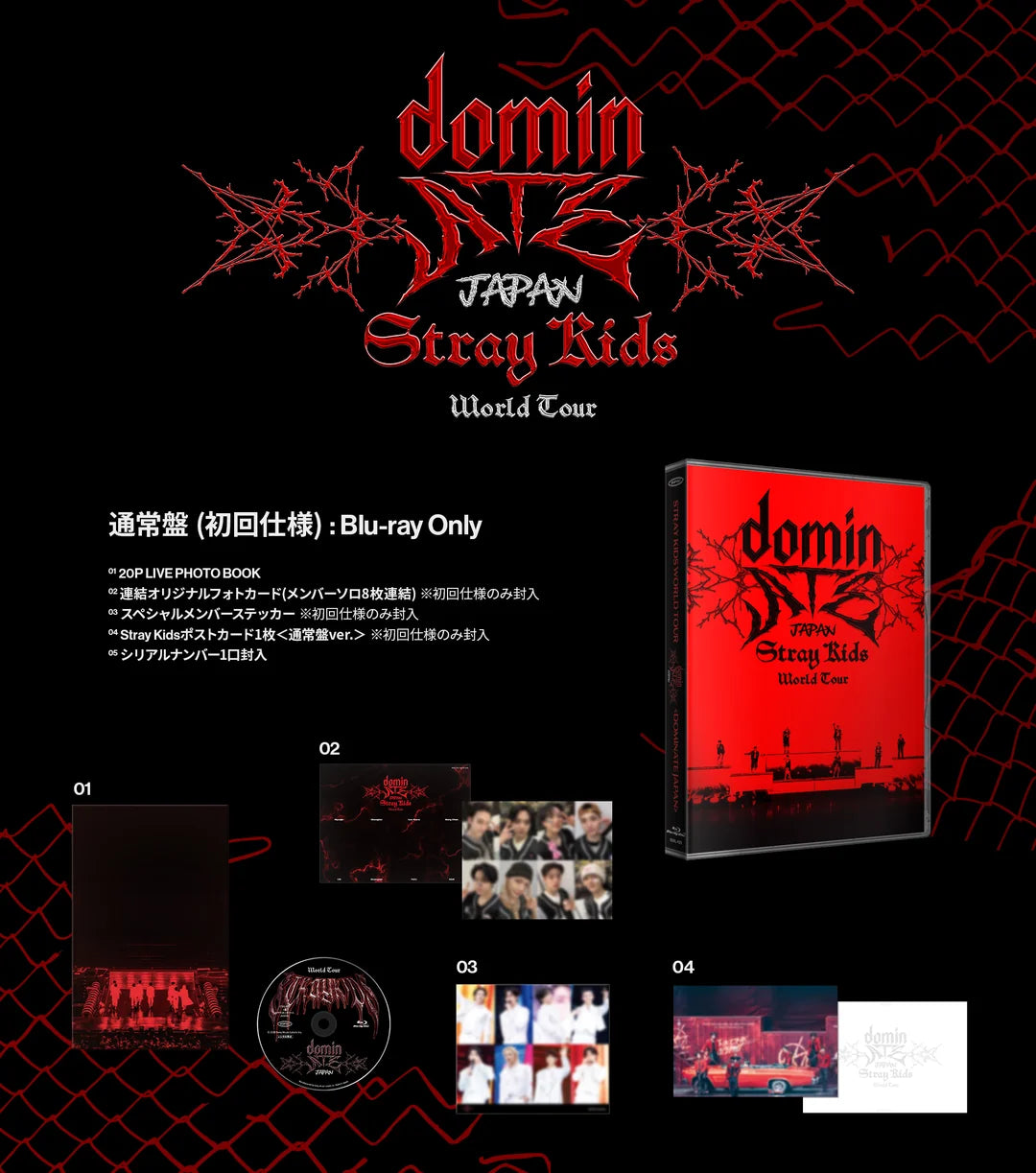 Stray Kids World Tour DominATE JAPAN - Blu-ray (Regular and Limited Edition)