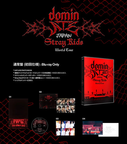 Stray Kids World Tour DominATE JAPAN - Blu-ray (Regular and Limited Edition)