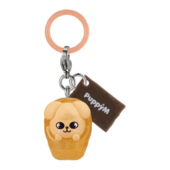 [PRE-ORDER] SKZOO 'Solo Camp' Gashapon (MEMBER CHOICE)