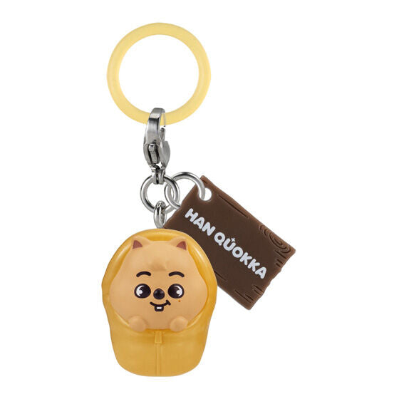 応援グッズ GO PRE-ORDER] SKZOO 'Solo Camp' Gashapon (MEMBER CHOICE) – Kbyseni